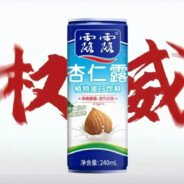 大宋突击手岳飞