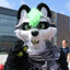 Furry Dredd's avatar