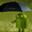 okrinn avatar