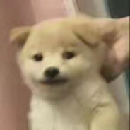 要开始卷了吗丶