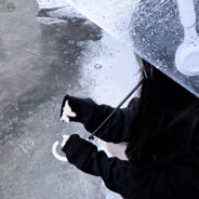 皇帝不需要被爱