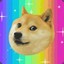 .Doge God