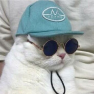 615 | C. Faur 's avatar