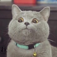 zohN- - steam id 76561198084475802