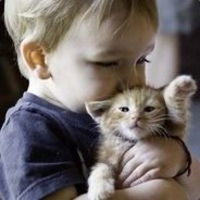 桥洞底下盖小被