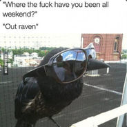 Raven