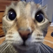 res