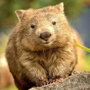 ПИСЬКА ГРЫЗ