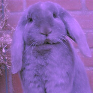 Extremely Malicious Rabbit