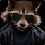 Racoon|LSGaming|