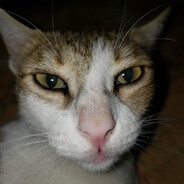 timmy
