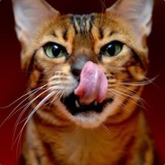 chaos - steam id 76561197989303816