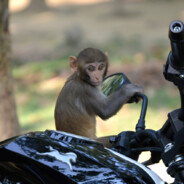 RAMON DE SEDAPAL ROMPEMOTO