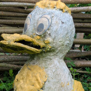 What_the_Duck?