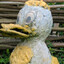 What_the_Duck?