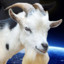 Space Goat Da God