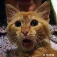 Lan - steam id 76561197960903773