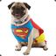 Superpug