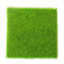 grass3