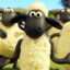 BaRaN ShaUn