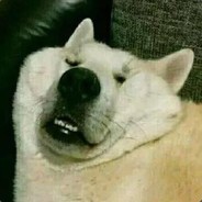 自摸声控连连看