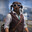 ᵀᴴᶜ | Doggi dog