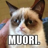No!