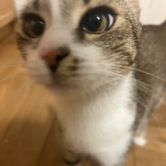 ♔〘Ł€Ꮆ€ŇĐ〙♔