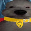 deiv