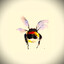 Bombus