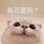 naomi_gao
