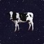 spacecow