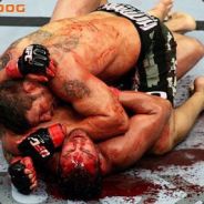 COCO LAPIN ll * GIPN * ll