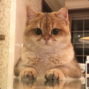 Лапки