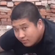 戦国の凶暴な虎