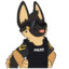 Siren Canine