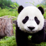 肆肆肆肆肆肆肆言