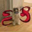 dWeK_212