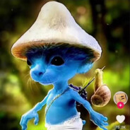 Monte 's avatar
