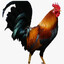 manok na pula