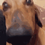 LKwitdaZK avatar