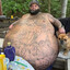 I'm gettin' fat's avatar
