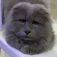 MATEZ avatar