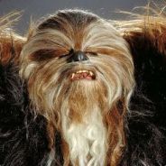 BIGHairyWOOKIE