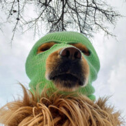 打铁还需自身硬