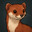 weasel