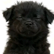 f4rtn1t3 - steam id 76561199387598220