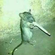 𝕷𝖚𝖈𝖊𝖓𝖟𝖔 - steam id 76561198968144344