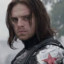 bucky-4