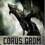 Corus Grom